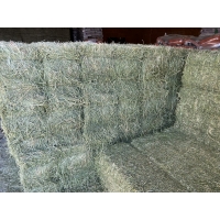 Coastal Bermuda Hay