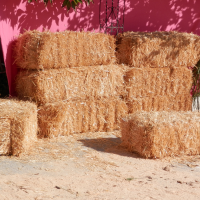 Straw Bales stacked