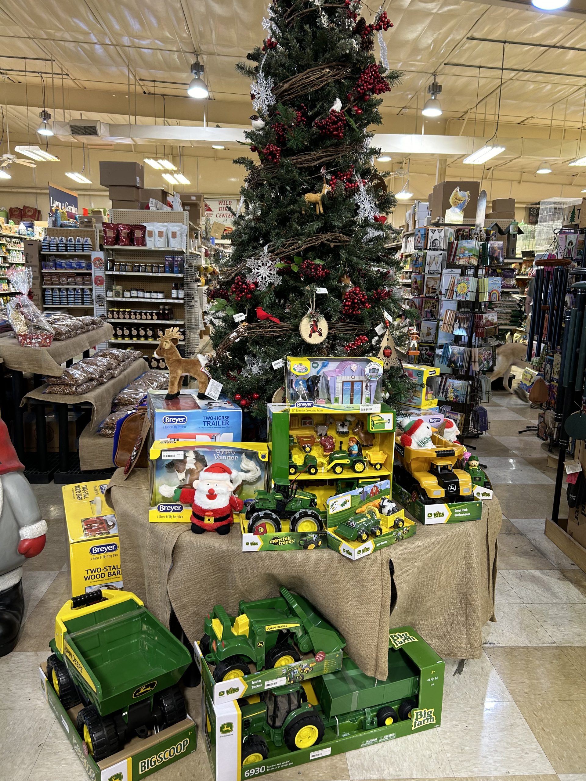 Shop for toys for Christmas at New Braunfels Feed. We have plenty under our tree!