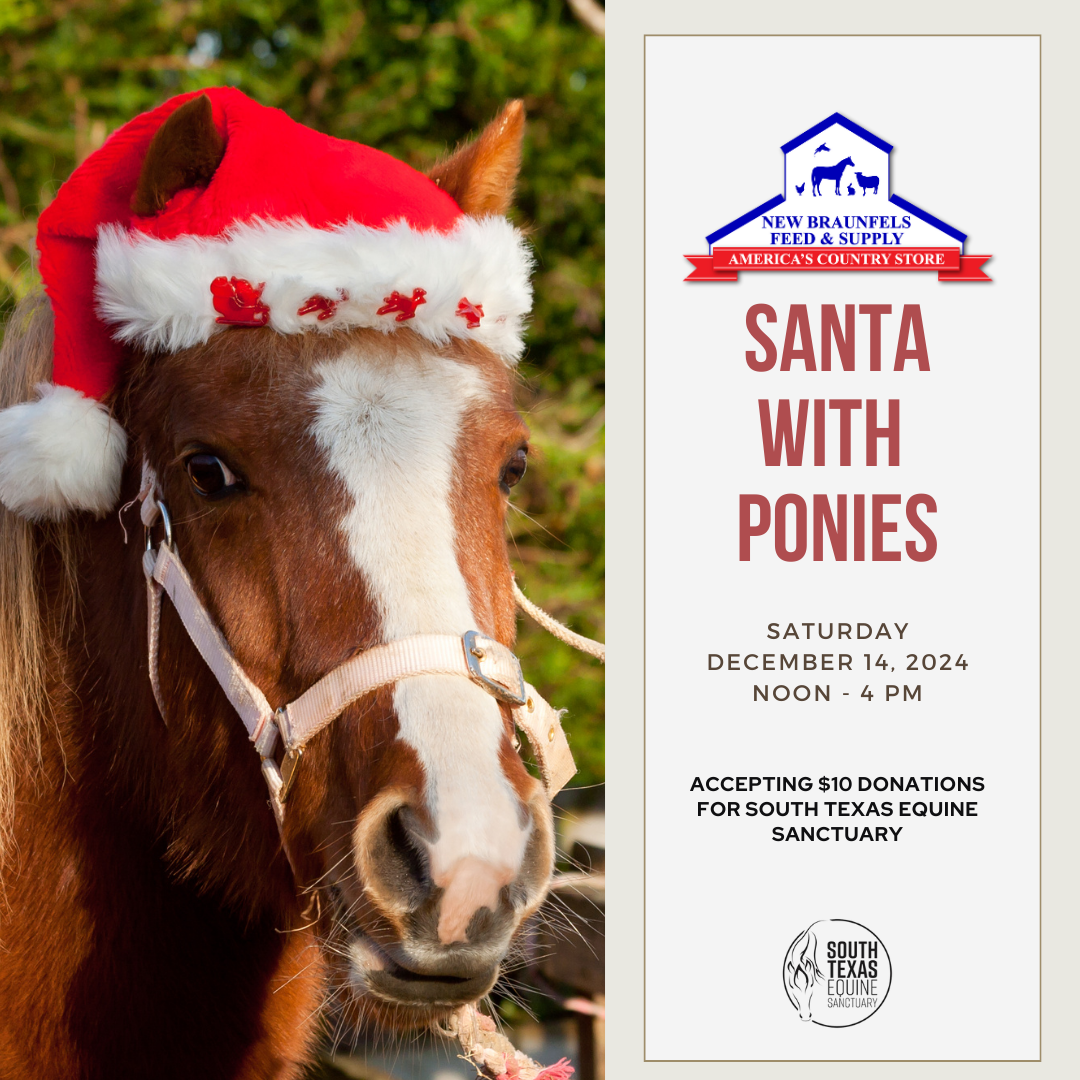 Santa with Ponies at New Braunfels Feed on Saturday, December 14, 2024. $10 donation requested to benefit South Texas Equine Sanctuary